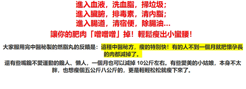 1740734508600731.jpg 790px_06.jpg