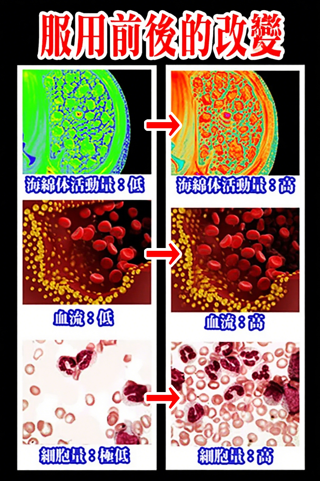 1756891821646418.jpg 006(1).jpg